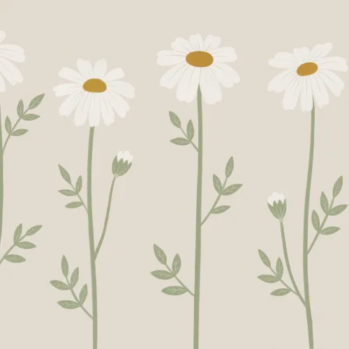 Mural de Parede Floral com Margaridas Botânicas Bege para Elegância
