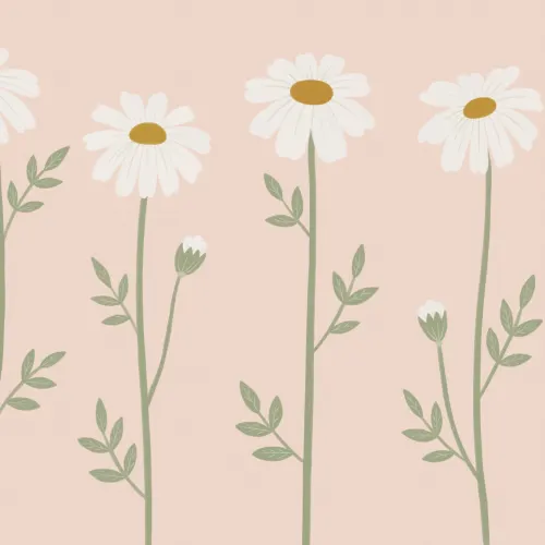 Pink Floral Nature Kids' Delightful Daisy Blossom Mural