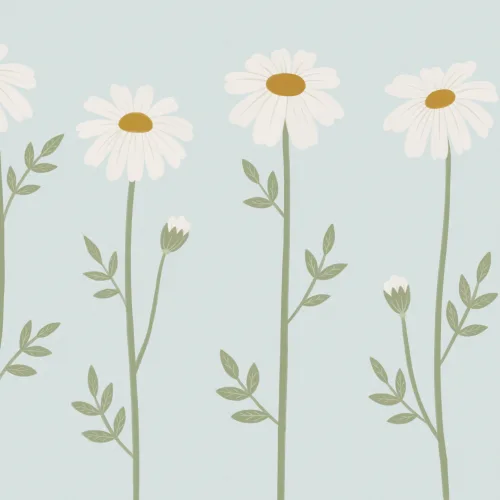 Soft Blue Daisy Floral Wall Mural For Calm Spaces