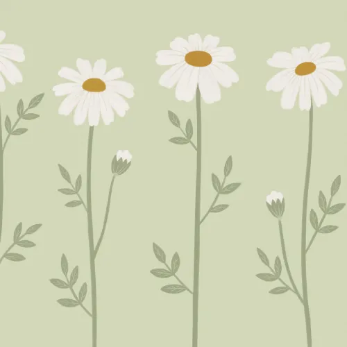 Pastelfarvet vægkunst med margueritblomster skaber en rolig stemning