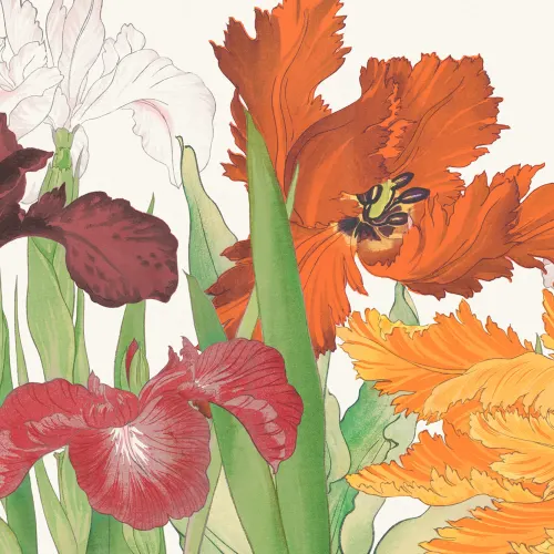 Tanigami Papagei Tulpe & Iris Rote Fototapete 