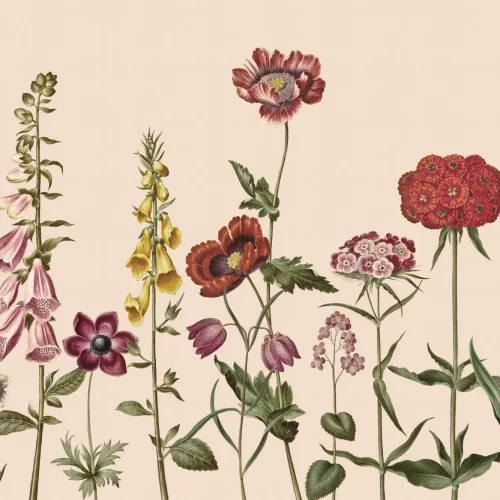 Beige Illustrated Wildflower Mural