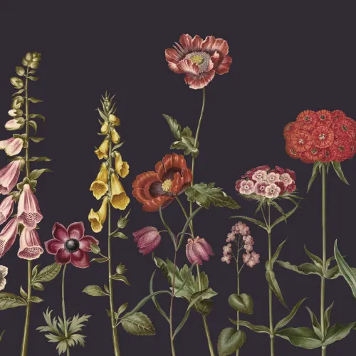 Dark Illustrated Wildflower Mural