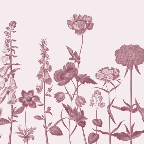 Pink Illustrated Wildflower Mural