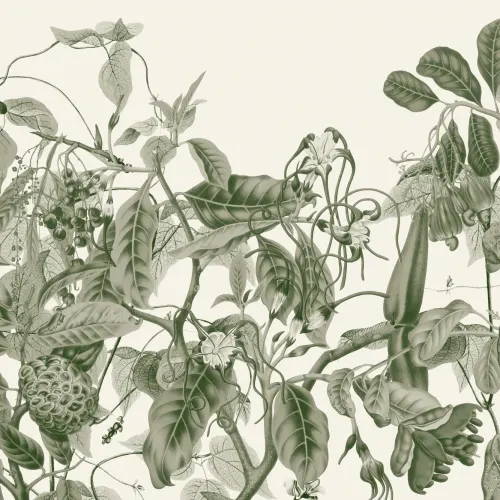Lush Vintage Botanical Wall Mural in Green with Detailed Tropical Plant Illustrations