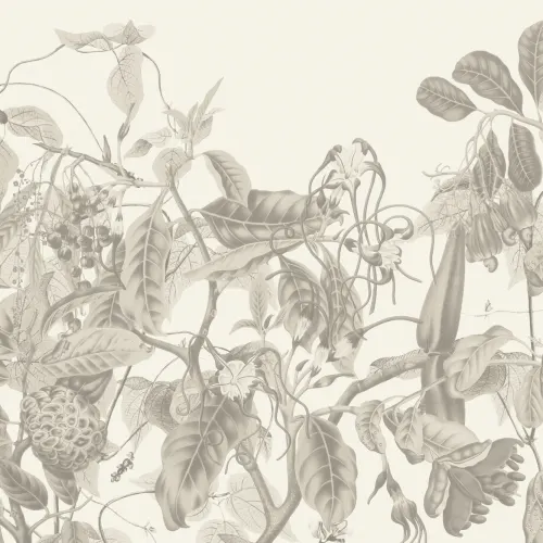 Fototapeta Lush Vintage Botanical w kolorze szarym z tropikalnymi kwiatami i liściastymi pnączami
