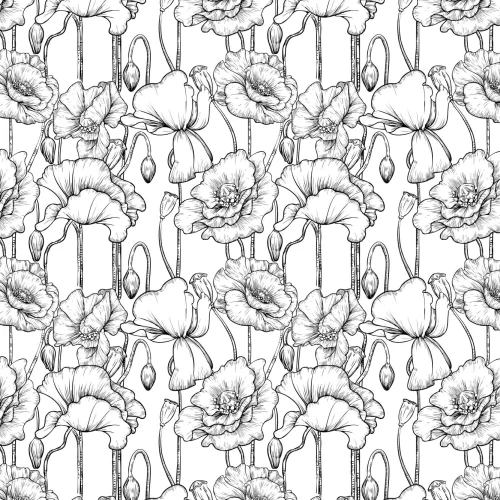 Black & White Illustrated Floral Wallpaper Mural