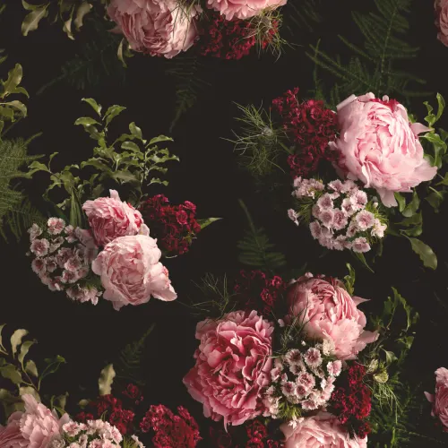 Pink & Black Dark Moody Floral Pattern Wallpaper Mural