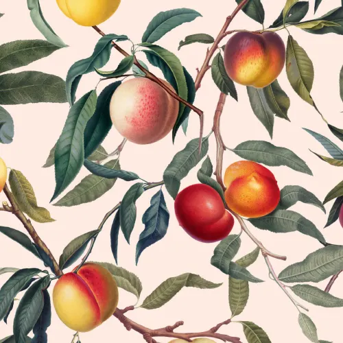 Creme og grøn vintage botanisk ferskenfrugt gentaget mønster tapet