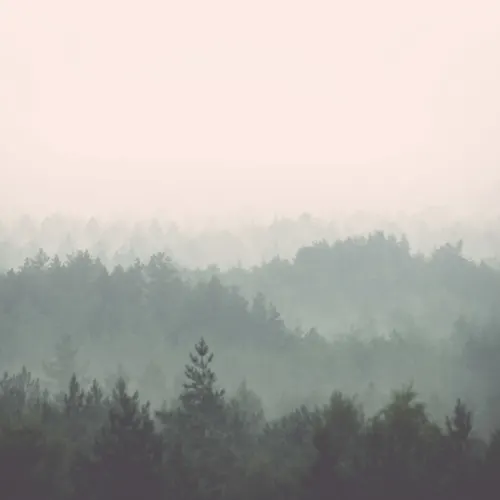 Peach & Green Pastel Ombre Forest Wallpaper Mural