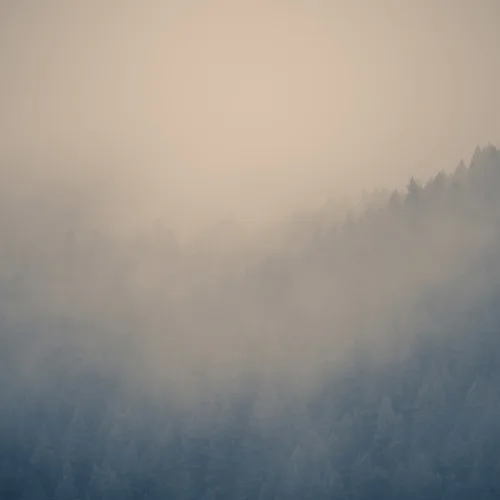 Cloudy Forest Wallpaper Mural