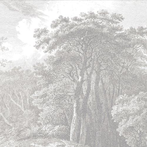 Light Gray Tree Forest Etching Wallpaper Mural