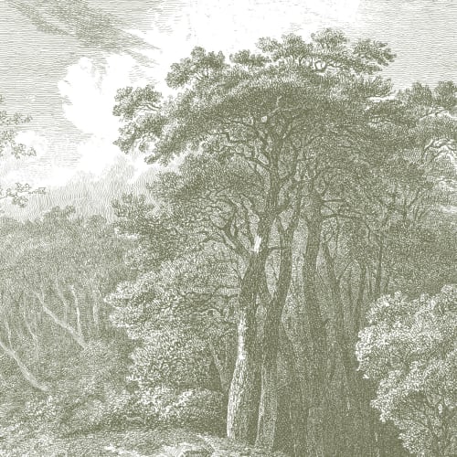 Green Tree Forest Etching Wallpaper Mural