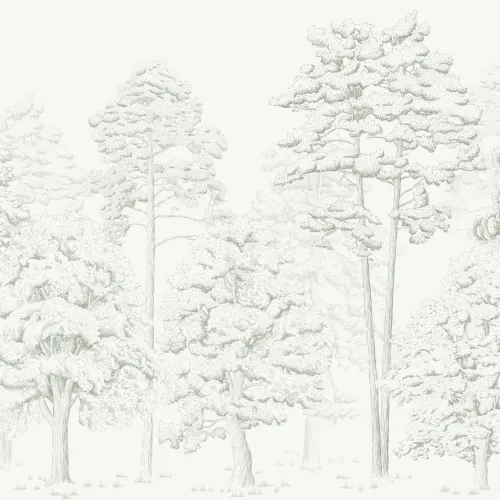 Illustrated Forest Wallpaper Mural