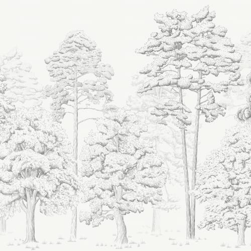 Gray Illustrated Forest Wallpaper Mural