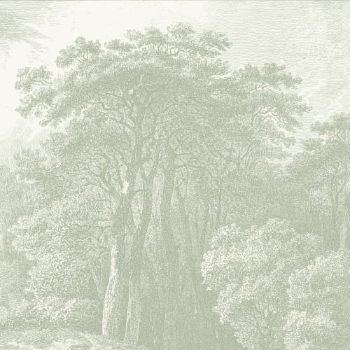 Carta da parati all'acquaforte della foresta vintage nei toni del verde salvia