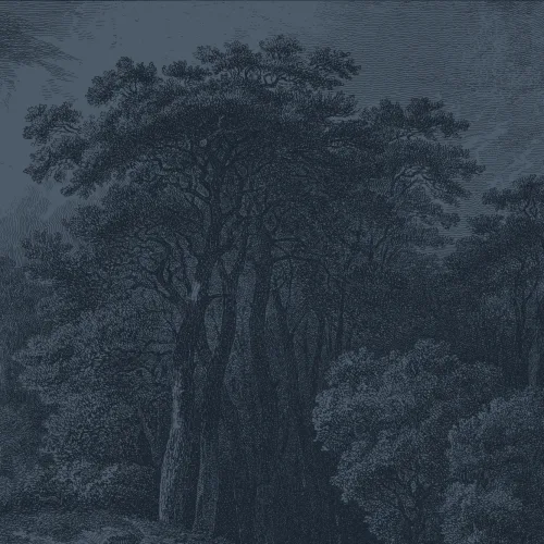 Vintage Forest Etching fototapet i dyb marineblå