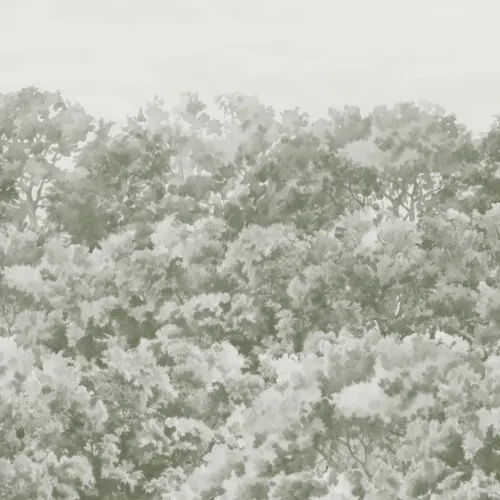 Sage Green Buttonwood Trees Forest Wall Mural