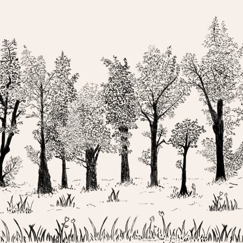 Papel pintado de bosque tradicional europeo ilustrado en negro