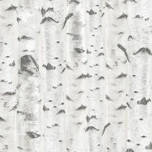White & Cream Birch Tree Pattern Wallpaper Mural