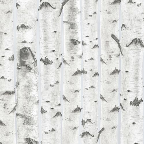 Mural Papel Pintado Madera con Árboles de Abedul Blancos sobre Fondo Azul