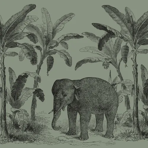 Panoramique Éléphant en Vert Foncé