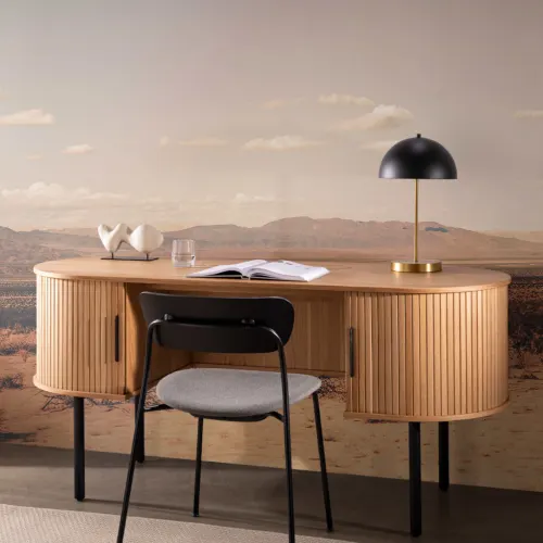 Arid Desert Wallpaper Mural