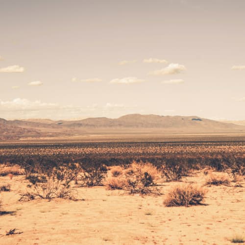 Arid Desert Wallpaper Mural