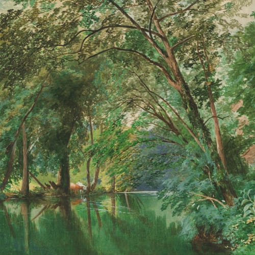 Papier peint panoramique : Les arbres au-dessus de la rivière