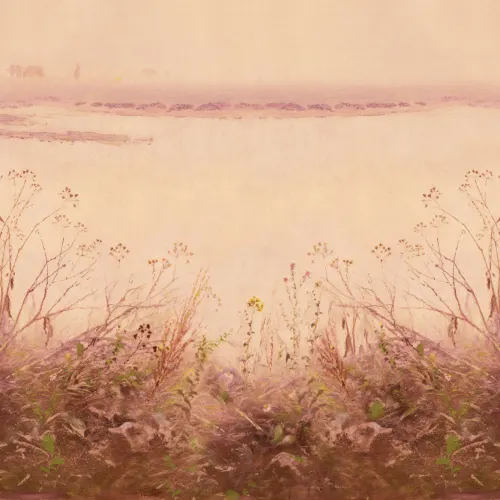 Carta da parati Riverbank Grassland in Sunset Glow (Luce del tramonto)