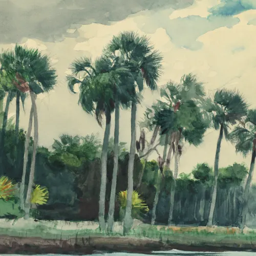 Chusan Classic Acuarela Palm Mural de Winslow Homer