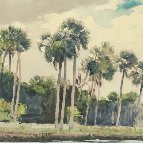 Chusan Pastell akvarell Palm Mural-tapeter av Winslow Homer