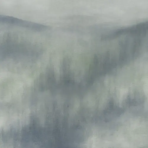 Green Misty Forest Fusion Nature Mural