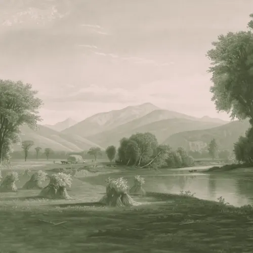 Green American Landscape Painting Mural