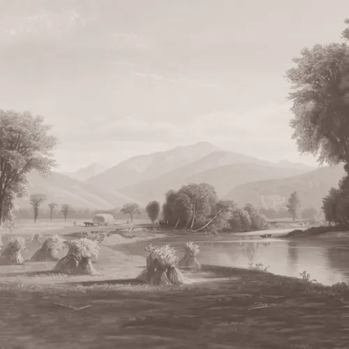 Carta da parati in grigio della pittura di paesaggio americana