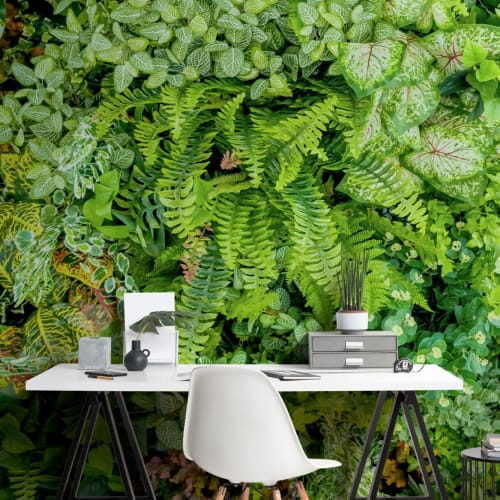 Plant Wall Leaf Wallpaper Mural