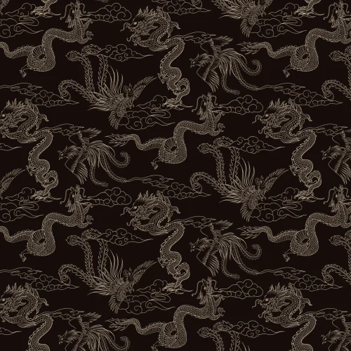 Papier peint des contours sombres du dragon et du phénix chinois