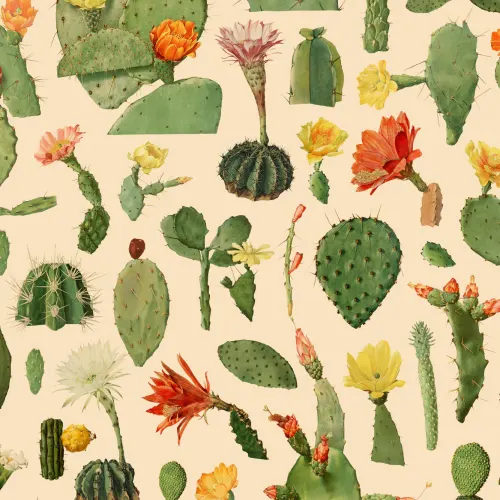 Green Cactus Succulent Pattern Wallpaper Mural
