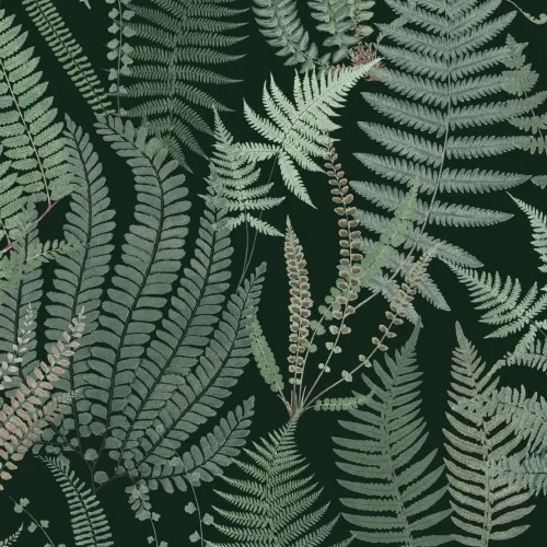 Papel Pintado Verde Oscuro con Patrón de Helecho Ilustrado Estilo Vintage