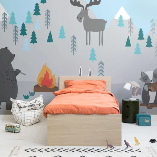 Copii Mountain Scene Wallpaper Mural