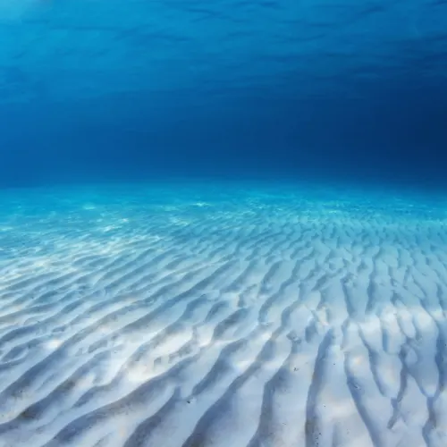 Ocean Shallows Wallpaper Mural