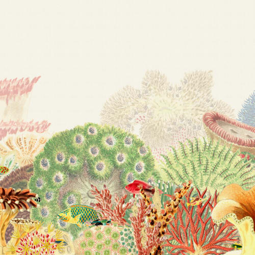 Colourful Vintage Illustrations Coral Reef Mural