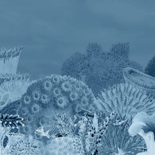 Mural de recifes de coral com ilustrações vintage da Marinha