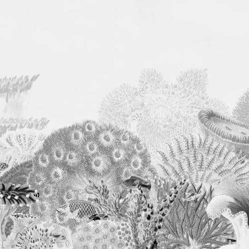 Gray Vintage Illustrations Coral Reef Mural