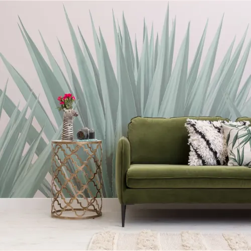 Agave kasvi kuvatapetti