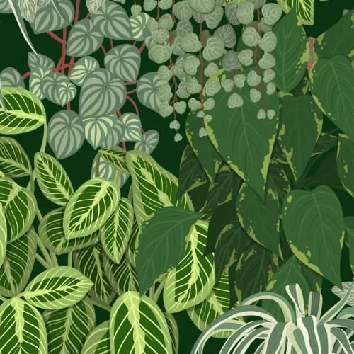Papier Peint Feuillage Vert avec Jardin Vertical à Motifs de Plantes d’Intérieur