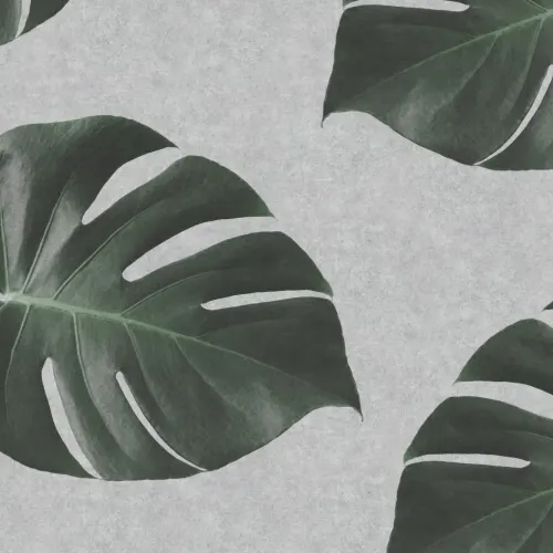 Biophilic Monstera Leaf Przemysłowa fototapeta ścienna