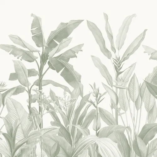 Carta da Parati tropicale vintage verde salvia