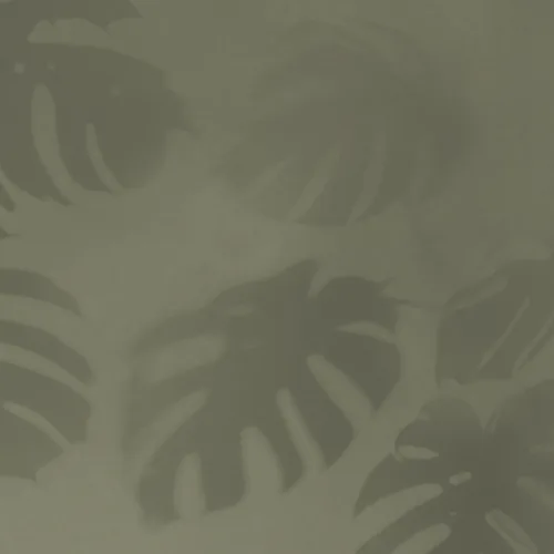 Mural de sombra de hoja de Monstera verde