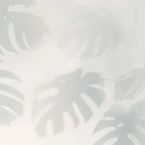 Blue Monstera Leaf Shadow Mural